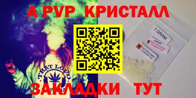 амф Гатчина