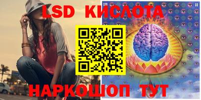 ешки Гай