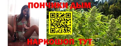 спайс Гагарин