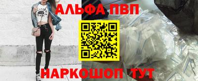 ешки Гай