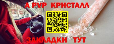 спайс Гагарин