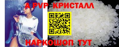 амф Гатчина