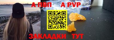 амф Гатчина