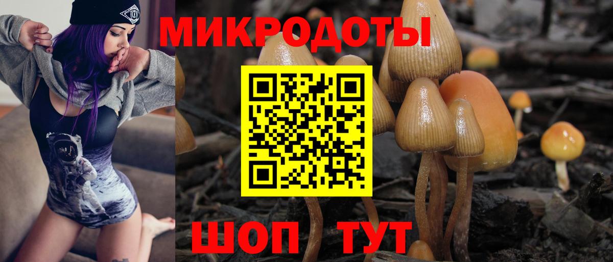 Галлюциногенные грибы Cubensis  Вход с VPN  Ревда  где продают   Псилоцибиновые грибы MAGIC MUSHROOMS 